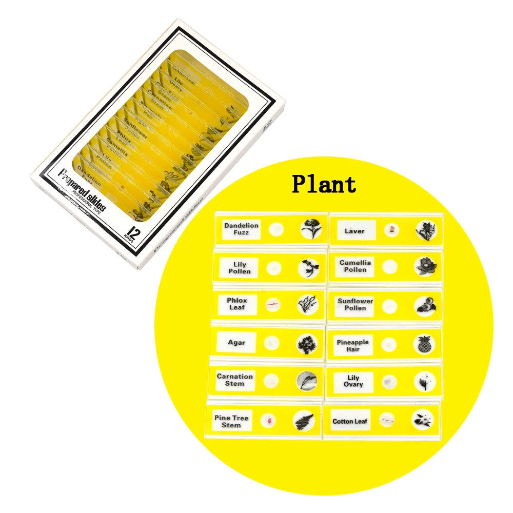 Chanseon 12 шт./компл. пластмассовые слайды для микроскопа Биологический образец с для детей Студенческий микроскоп для обучения