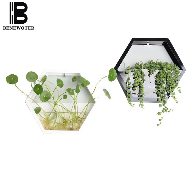 Billige Kurze Einfarbig Acryl Wand Vase Hydrokultur Pflanze Halter Blume Topf Hängen Vasen für Wohnkultur Handwerk Bonsai Pflanzer Kunst