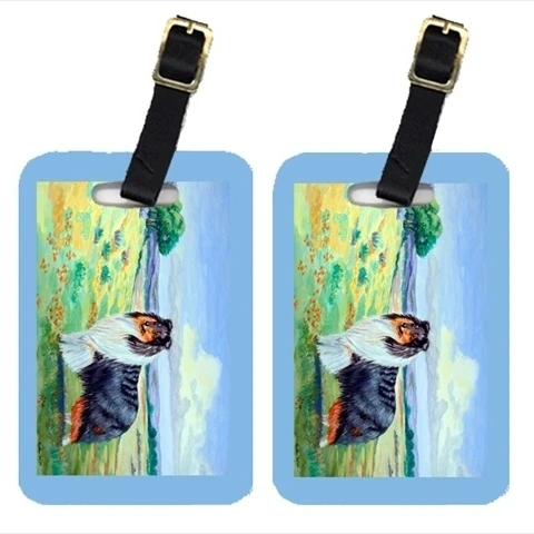 Carolines Treasures 7140BT Collie Luggage Tags Pack - 2 (1)