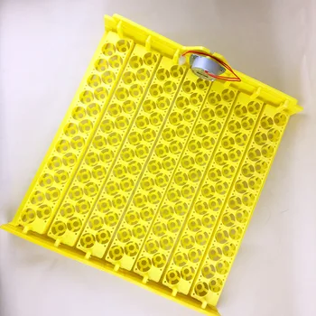 

Wholesale 154 pcs Quail Parrot Pigeon Small Bird Snake Hatcher Automatic Turn Plastic Incubator Trays with Turning Motor