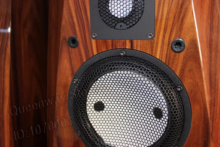 10 дюймовый Высококачественный напольный динамик/громкоговоритель Accuton C30 6 358 tweeter