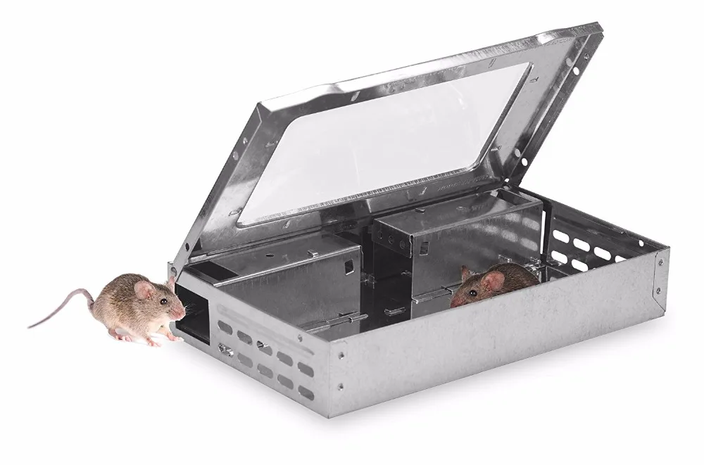 https://ae01.alicdn.com/kf/HTB180kqeGLN8KJjSZFvq6xW8VXa0/Mouse-LIVE-Trap-with-window-Multi-Catch-Clear-Top-Humane-Repeater-Mouse-Trap.jpg