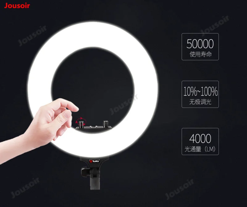 36020190218171310753