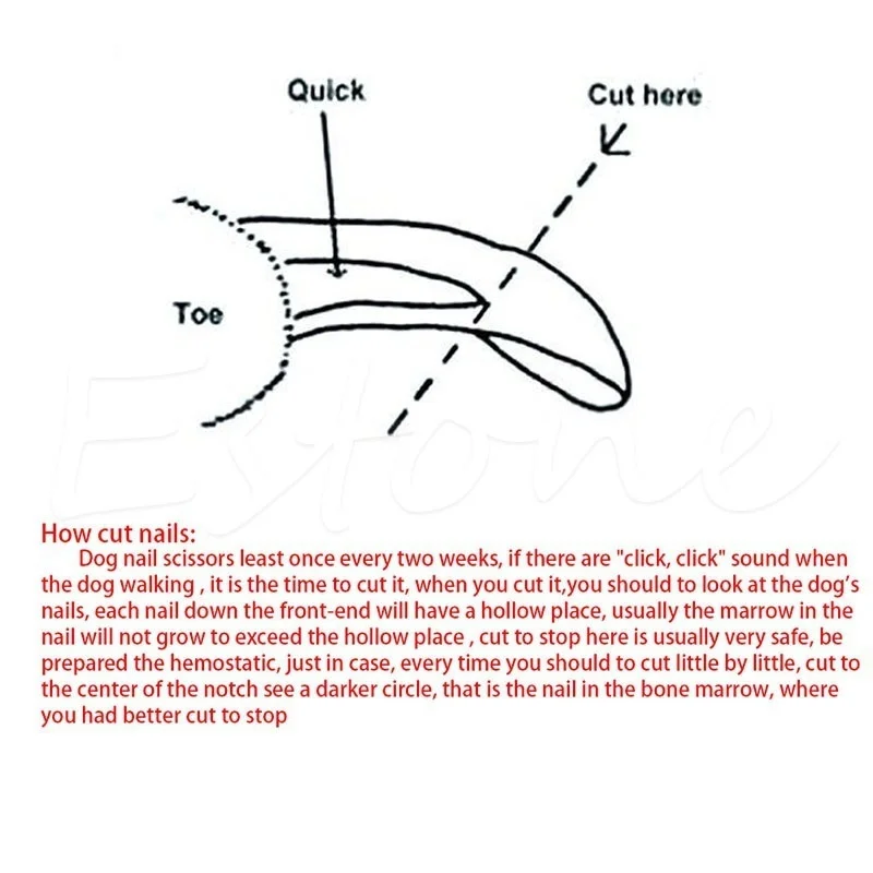 59a52ce9cf936f23ca6ecffc-8-original