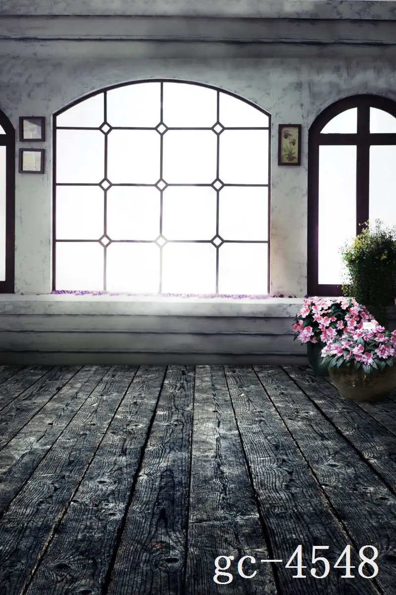 

3*5M Art Cloth Custom Photography Backdrops Prop Indoor theme Studio Background GC-4548