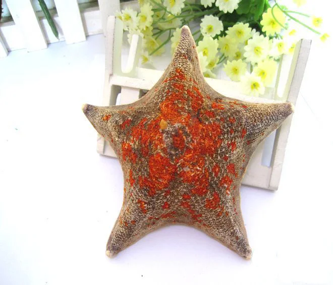Decorative Star Fish Dried African Sugar Starfish Collectibles You And Me Mediterranean Resin Decorative Wall Hangings Starfish Wedding Fish Tank Aquarium Decoration Ornaments Crafts