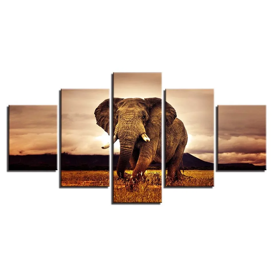 Pictures-Home-Decor-Canvas-5-Panel-Animal-Elephant-Modular-Framework-Painting-Top-Rated-Wall-For-Living (3)