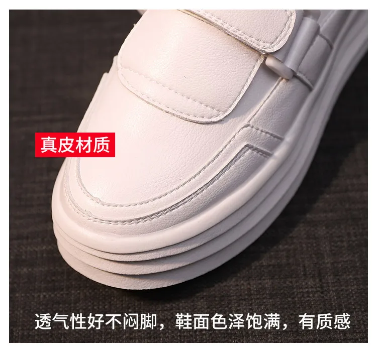 10171305384_1413230121