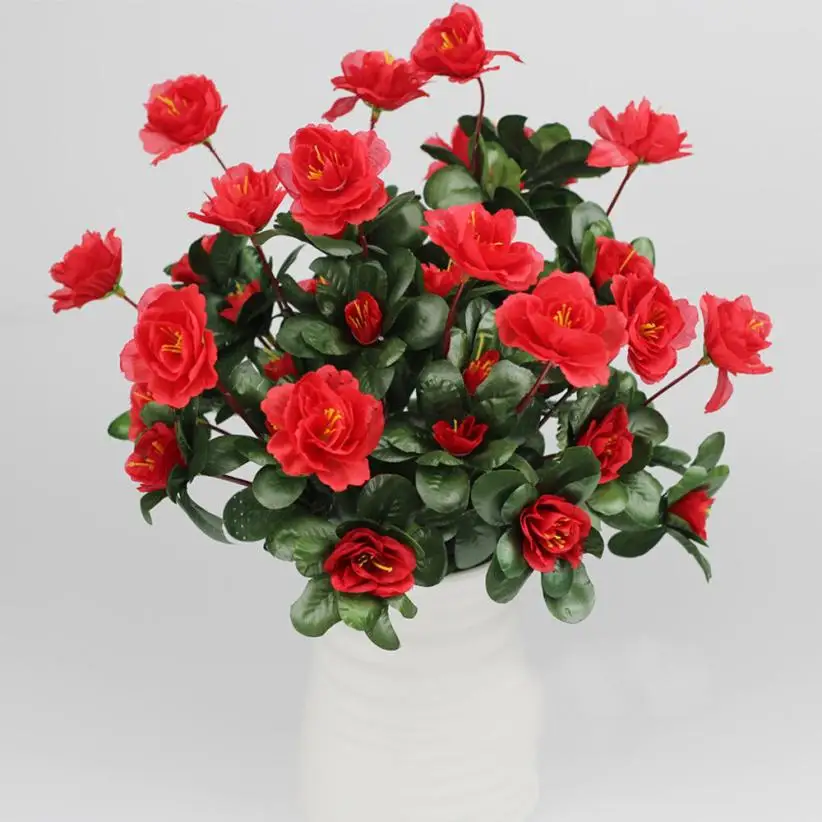 YYJ70223012_20170223092204483