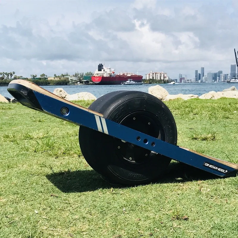 

One Wheel Self Balancing Hoverboard Skateboard 700w