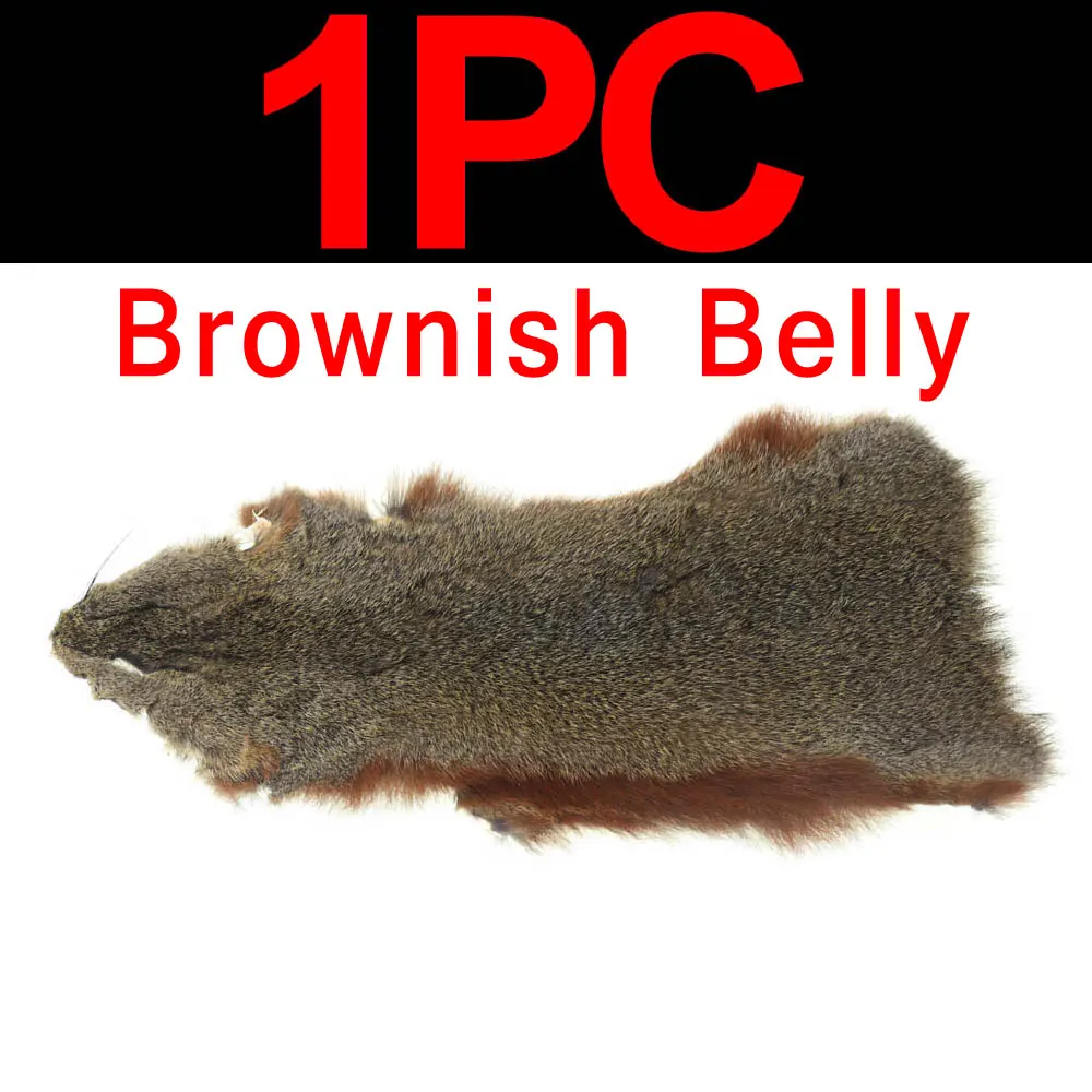 brownish-belly
