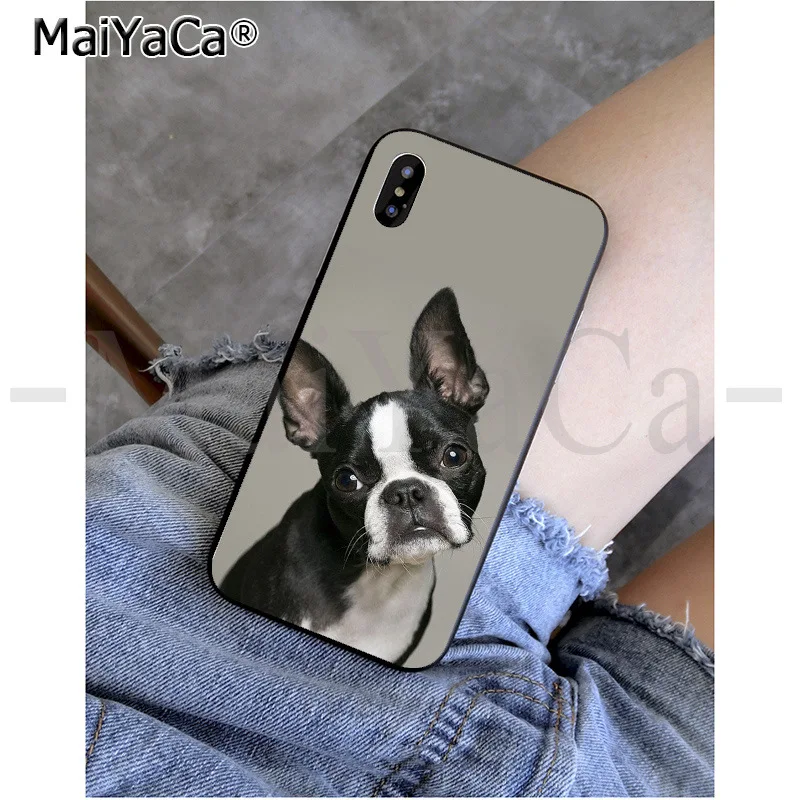 MaiYaCa животное Бостонский терьер собака узор ТПУ Мягкие аксессуары для телефонов чехол для телефона для iPhone 8 7 6 6S Plus X XS MAX 5 5S SE XR