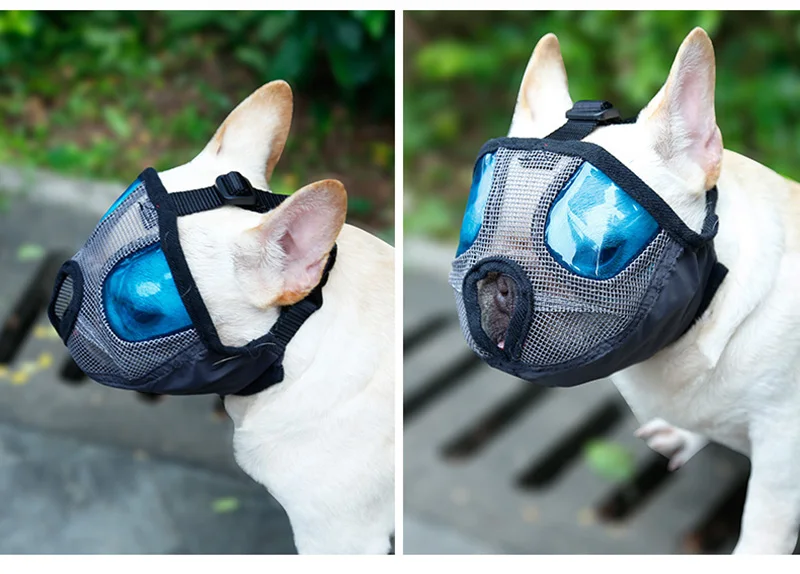 Mesh Muzzle For Short Snout (1)