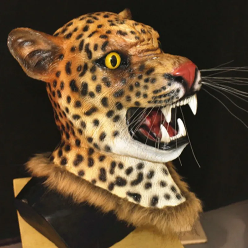lion2
