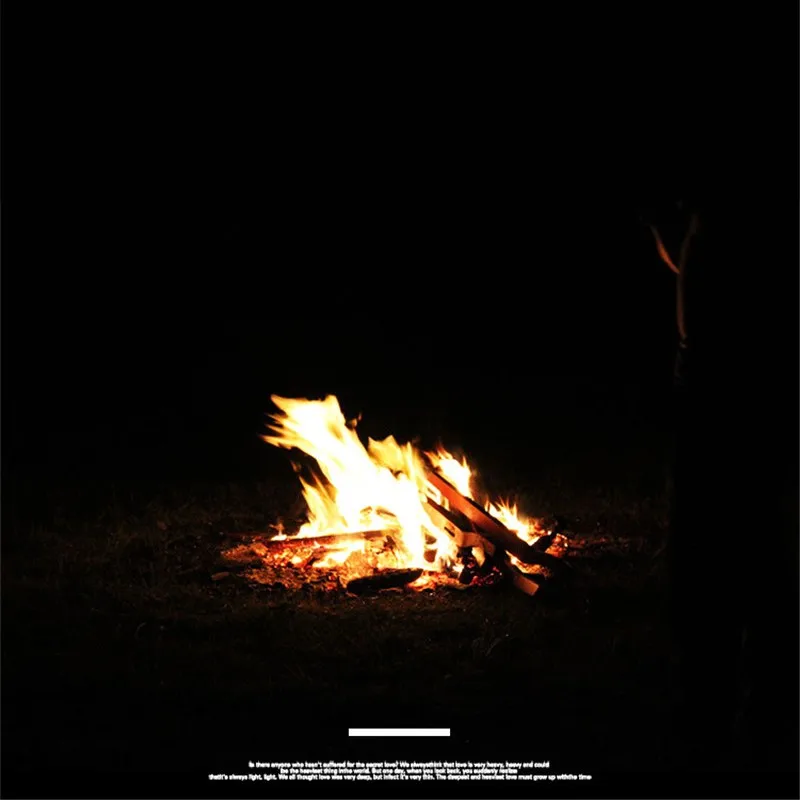 Flame lamp (9)