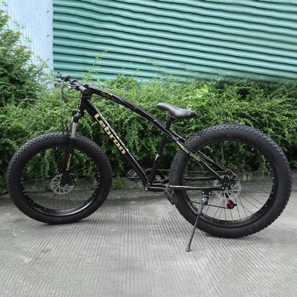 fat bike lebron
