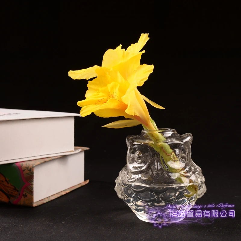 Owl Vase Christmas Terrarium Glass Flower Vase Wall Round Sphere Tabletop Vases Home Decoration Transparent