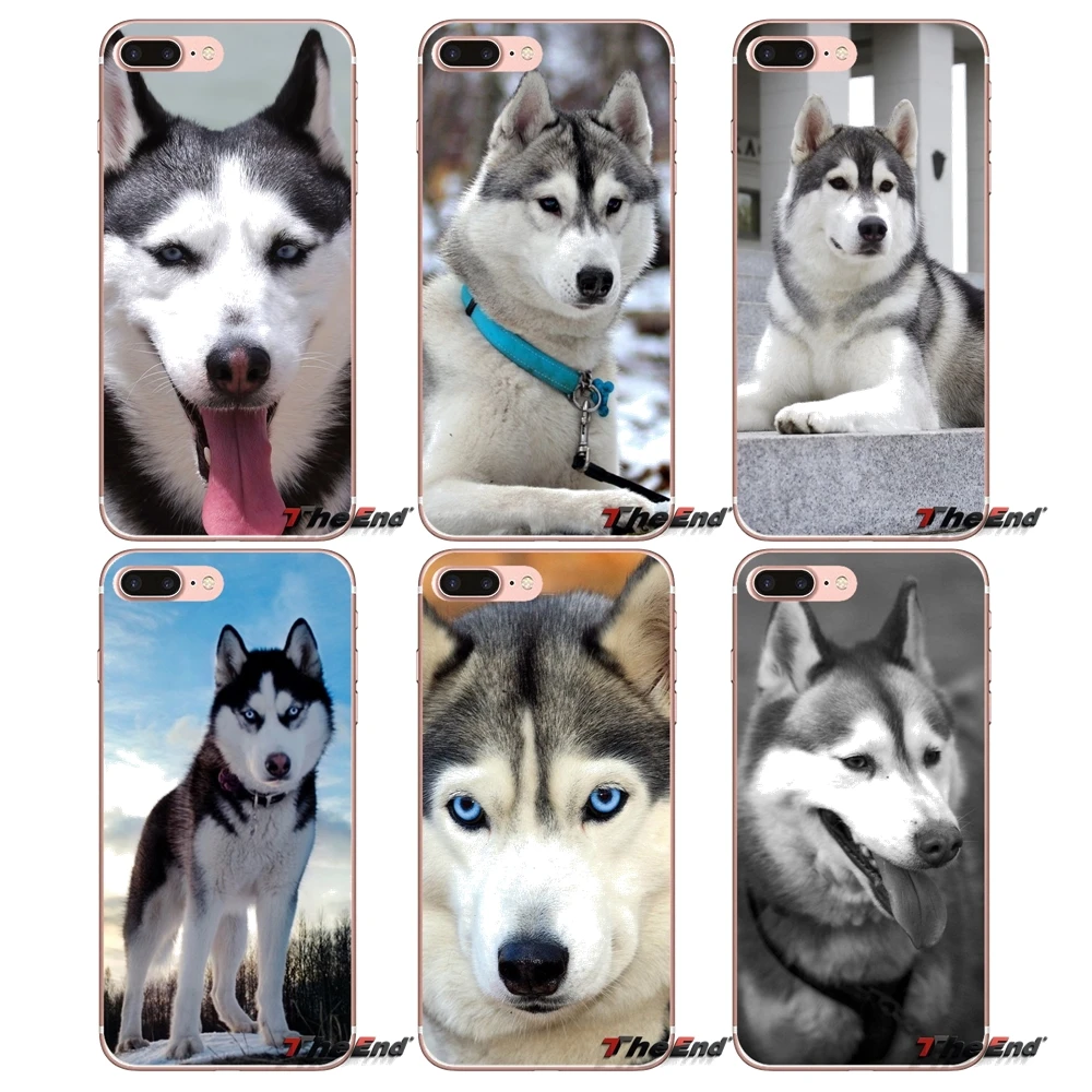 

Cute Animal Husky Dog Cell Phone Cases Cover For Huawei Honor 7X V10 6C V9 6A Play 9 Mate 10 Pro Y7 Y5 P8 P10 Lite Plus GR5 2017
