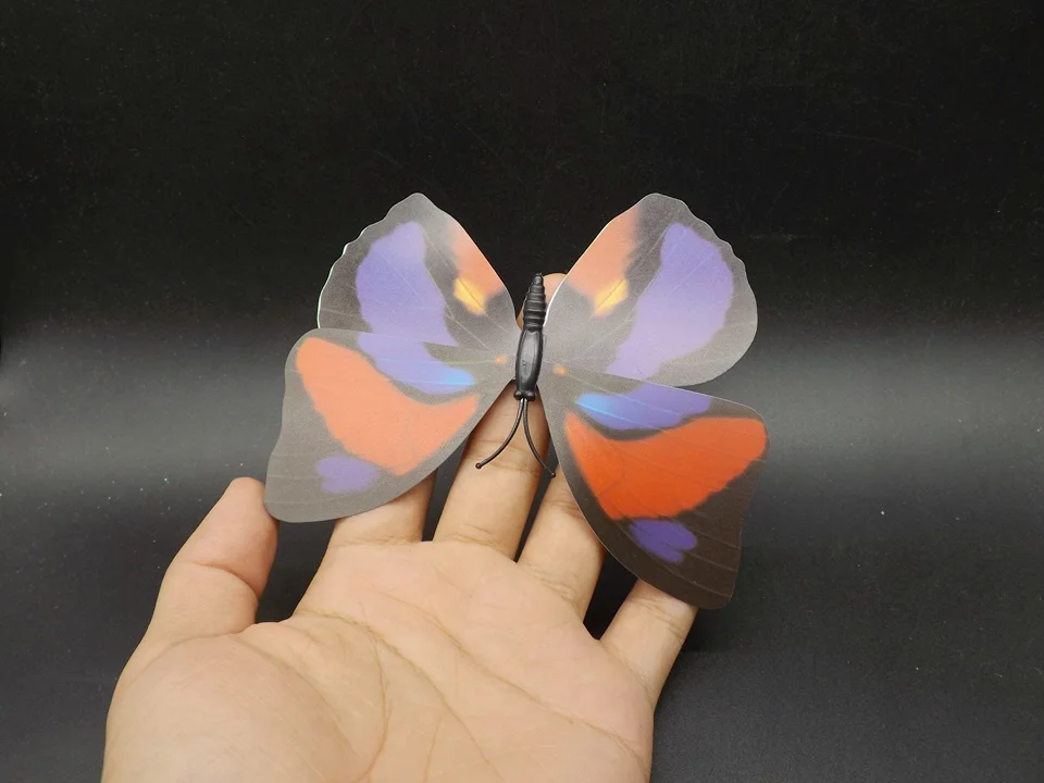 I240-Butterfly (3)