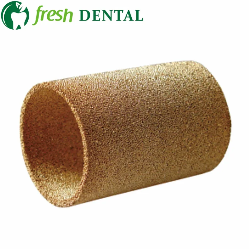 5PCS Dental core for water filter dental chair unit water filter dental