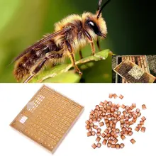 1 набор оборудования для пчеловодства вывод маток стакан для телефона набор для выращивания системы пчеловодства инструмент для приготовления наборов