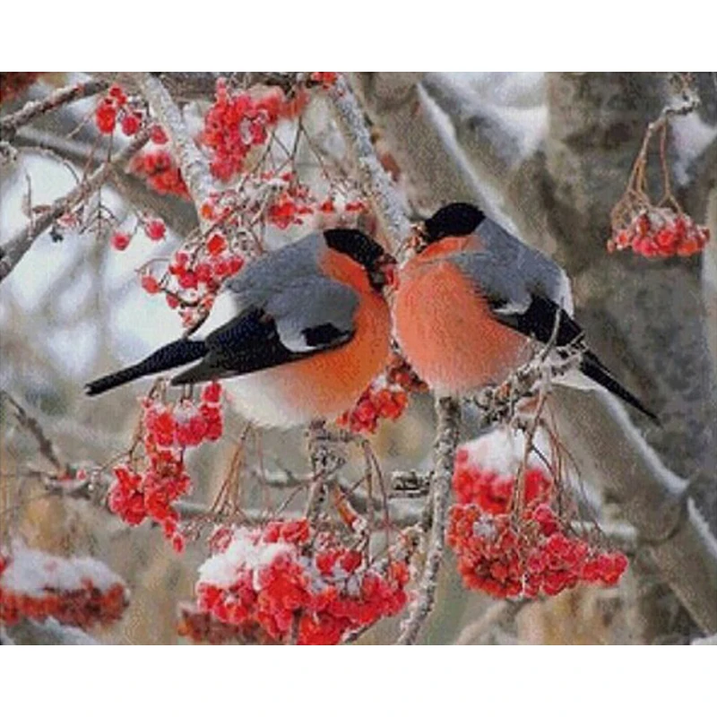 

Diamond Embroidery Birds Red Fruit DIY 5d Daimond Painting Pictures With Beads Beading Embroidery Kits Picture By Numbers