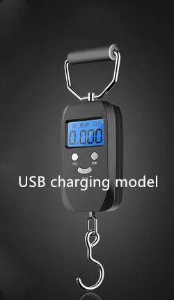 Мини-весовой портативные электронные весы Масштаб 50кг портативный высокая точность Домашний экспресс пружинные Весы - Цвет: USB charging mode