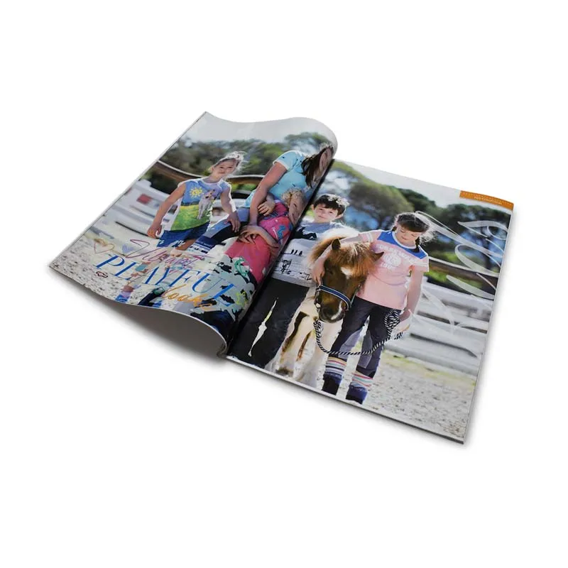 

Zuoluo Factory Price Business Book Printing with Custom Design