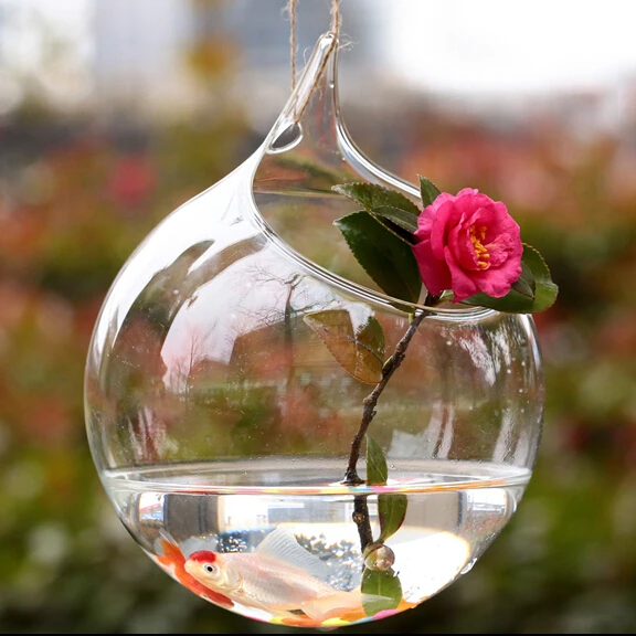 round fish bowl