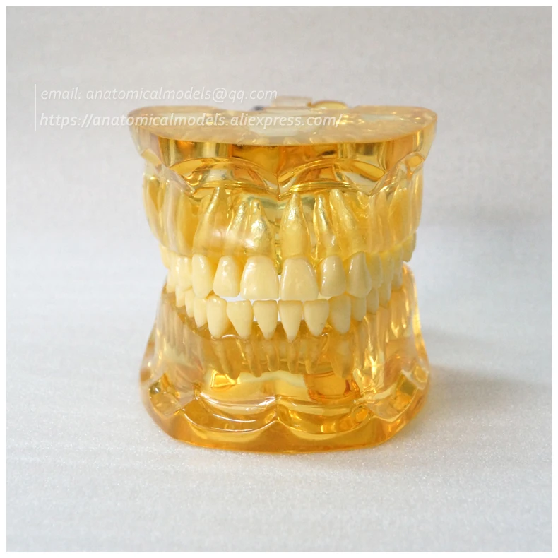 13064 Clear Extraction Model 1 