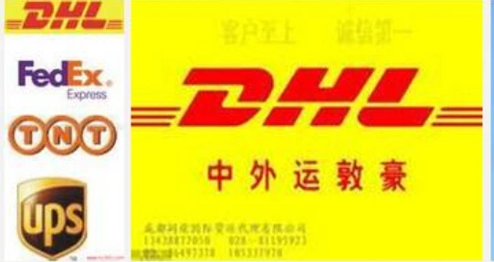 

DHL & FEDEX &EMS & epacket or other express different &DIY logo shipping Spread payment link