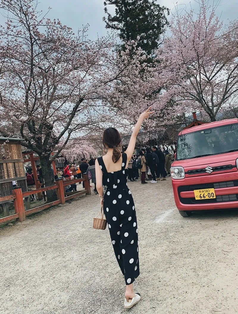 O1CN01k6PtWx1Bts6CZELT0___3535480004