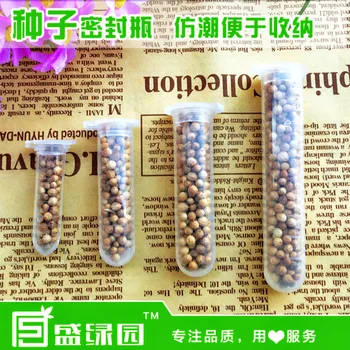 

10 SET/LOT TRANSPARENT Seed Storage SORT Seal Bottle Moisture Mold GARDEN TOOLS