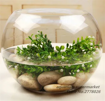 

1PCS Round Clear Glass Fish Tank Hydroponic Fleshy Micro Landscape Glass Bottle Plant Container Household Living Room Decoration