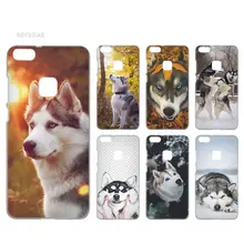 coque huawei p8 lite 2017 husky