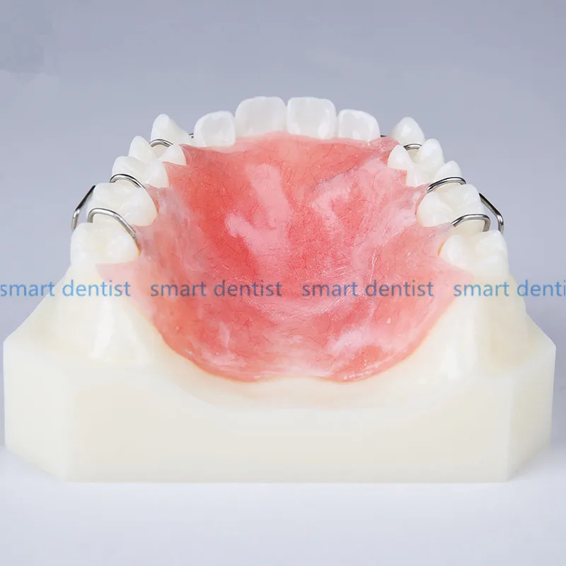 Хорошее качество 1 шт. стоматологический ортодонтический прибор модель с зубцами тренажер ретейнеры скобы обучения и