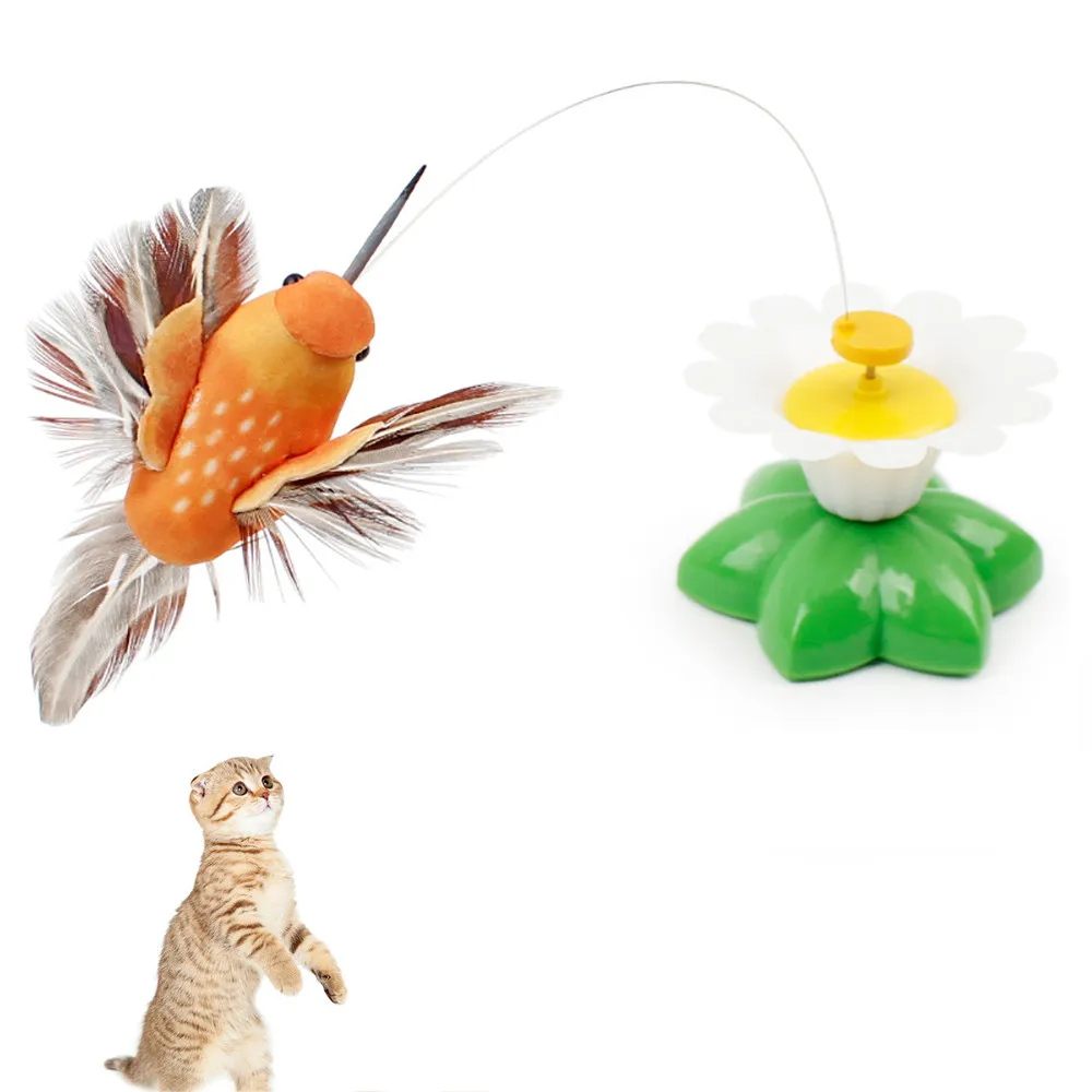 

Electric 360 Rotating Colorful Dancing Bird Pattern Funny hummingbird cats funny toy pet toys catnip for kedi malzemeleri