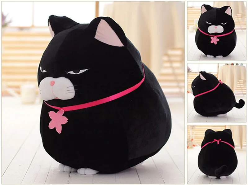cat10