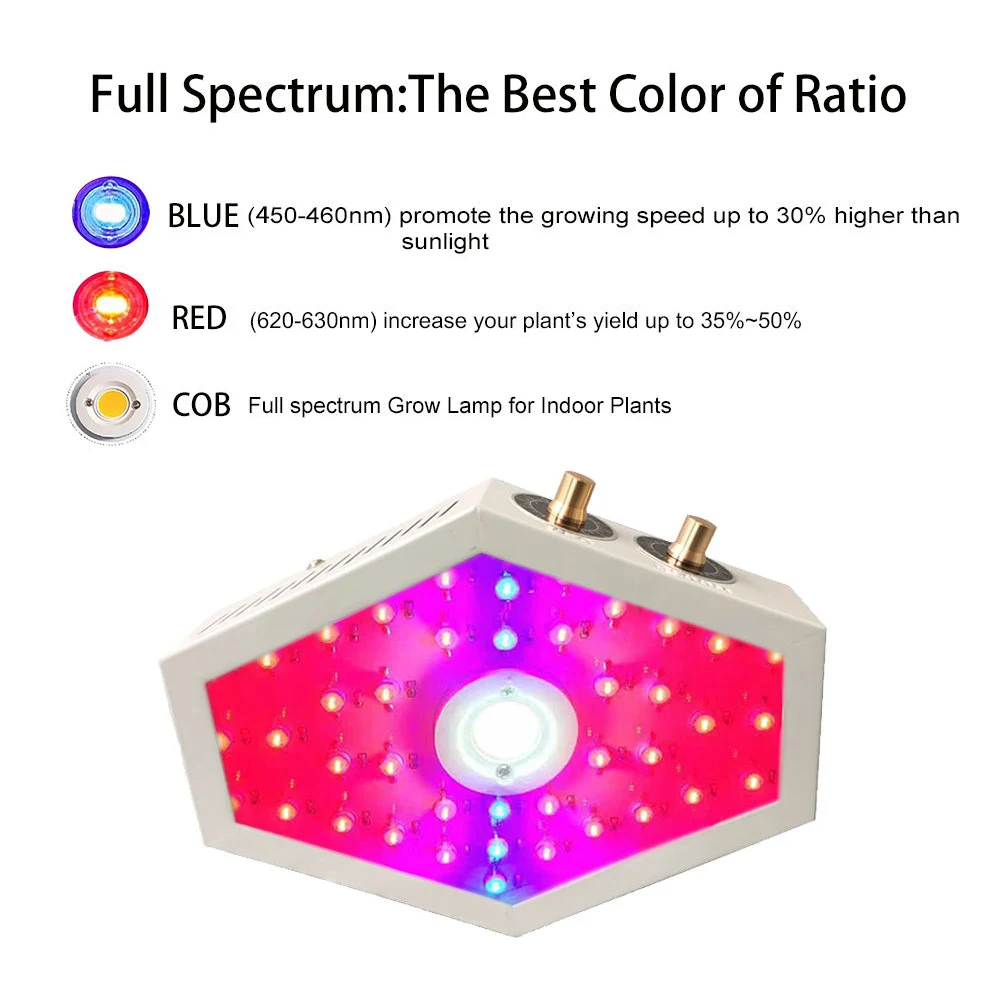 1000 Вт Светодиодный светильник для выращивания с регулируемой яркостью COB, полный спектр, двойной чип, фитолампия для внутреннего использования, для выращивания овощей, цветов, цветков, фито-лампа