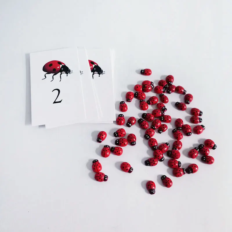 Montessori Math Material Montessori Ladybug Number Activity Cards Set Educational Learning Toys for Toddlers MJ1044H