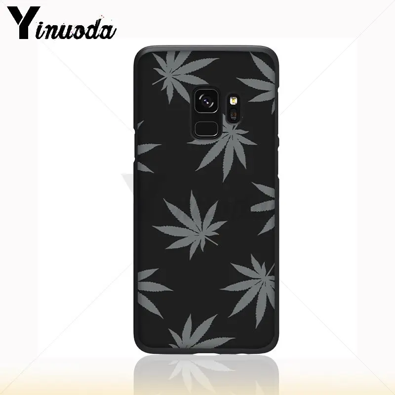 weed plant leaves Cannabis leaf