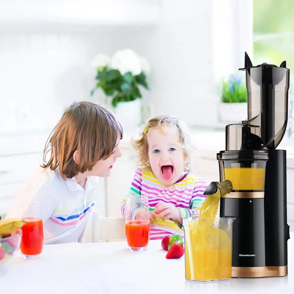 

Masticating Slow Juicer Extractor 3.5inch Wide Chute Cold Press Juicer Machine with Quiet Motor and Reverse Function