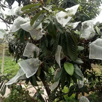 

10 PCS Vegetables Fruits Flowers Gardens Fruit Trees Bird-Proof Insect-Proof Gauze Mesh Nets Nylon Breathable Soft Seed Bag