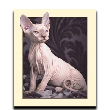 

5D Round Mosaic DIY Diamond Painting Full Cross Stitch Diamond Embroidery with Diamond Butterfly Painting Big ear cat