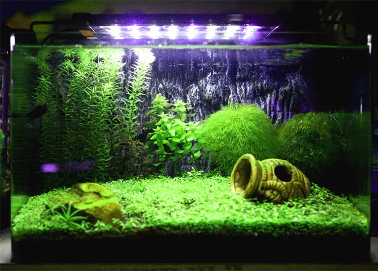 30-92 см 100-240 В аквариумный светодиодный светильник ing Fish Tank светильник с выдвижными кронштейнами белый и синий светодиодный s подходит для аквариума