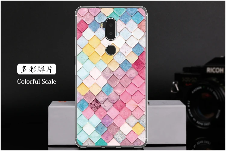  Colorful Scale