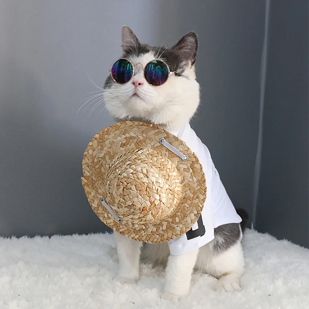 Модные женские очки солнцезащитные для кошек маленьких больших собак забавные