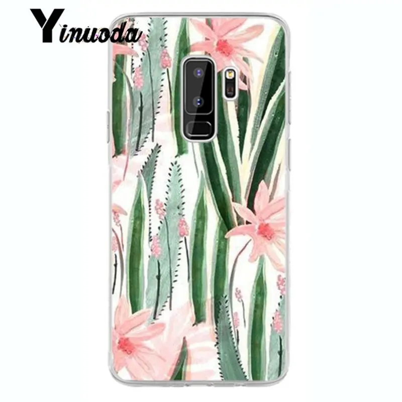 Flower Cherry Tree Candy Colors Leaves 