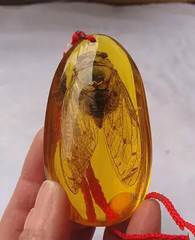 

Amber amber insect pendant wax insect snake standard amber pendant various styles