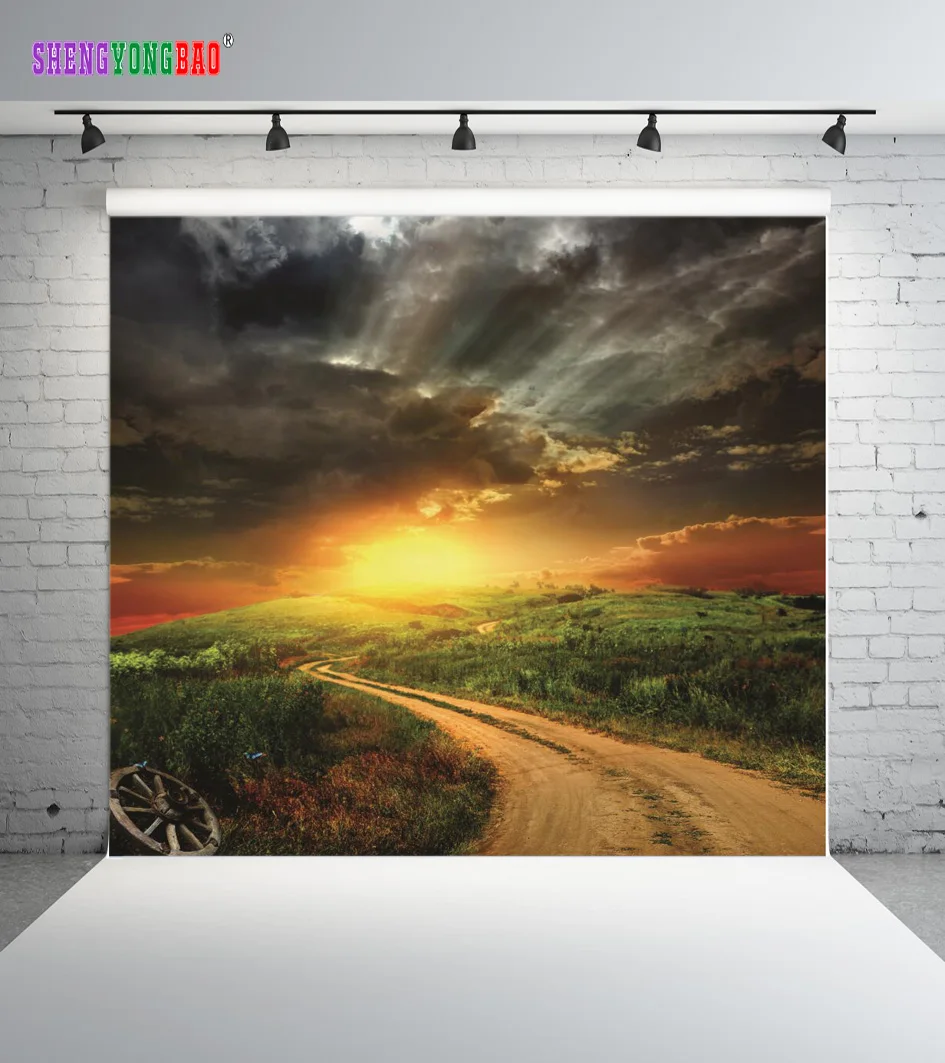 

SHENGYONGBAO 10x10ft Vinyl Photography Backdrops Sky and cloud theme Photo Studio Props Photography Background ZHFJ-41143